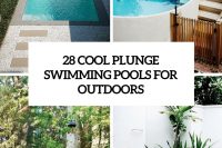 28-cool-plunge-swimming-pools-for-outdoors-cover