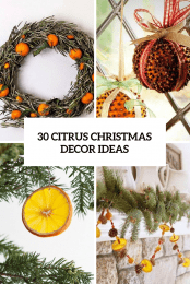 30 Citrus Christmas Decor Ideas Cover