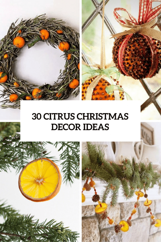 Citrus Christmas Decor Ideas