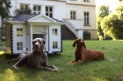 4 Luxury Dog Houses By Best Friend’s HOME