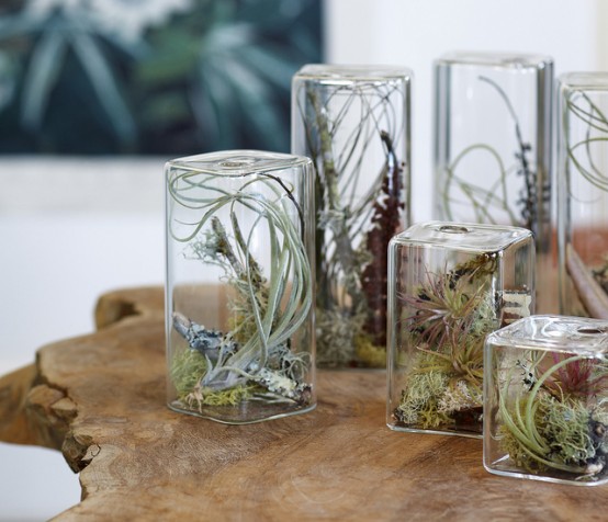 Stylish Cube Aeriums To Make A Miniature Garden On A Desktop