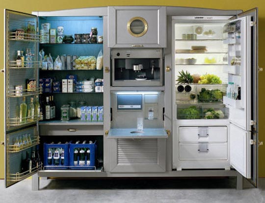 Luxury And Beautiful Refrigerators By Meneghini