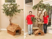 Unique Cat Tree Houses From Pet Tree House