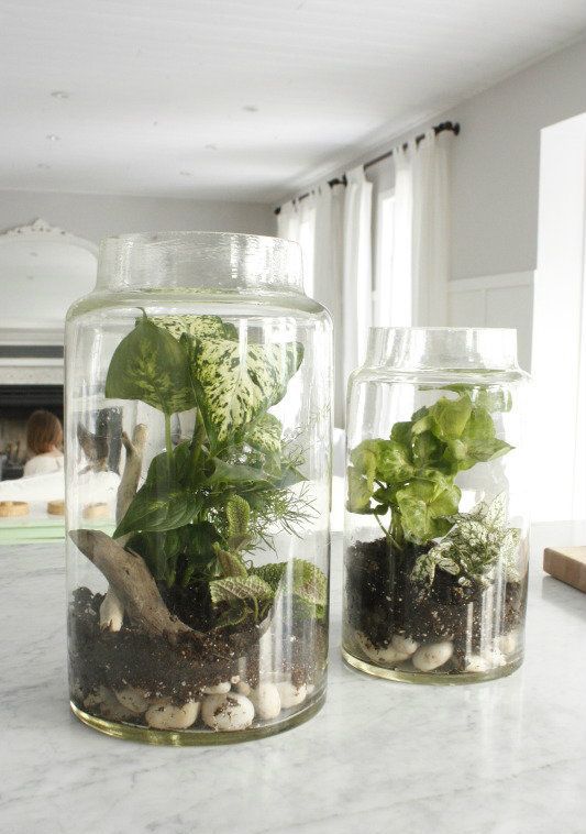 Glass jars with pebbles, driftwood, greenery look very wild, pretty and spring like