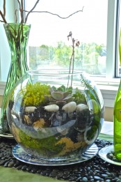 an aquarium with moss, greenery, pebbles and a succulent is a bold and cool decoration for spring or a centerpiece