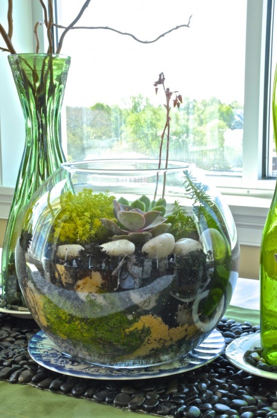 an aquarium with moss, greenery, pebbles and a succulent is a bold and cool decoration for spring or a centerpiece