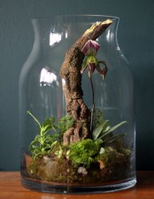 a jar with greenery, moss, a piece of driftwood and a bloom is a moody and bold terrarium to rock