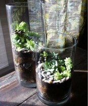 vases with succulents and pebbles are a simple way to welcome spring and make the space feel like it