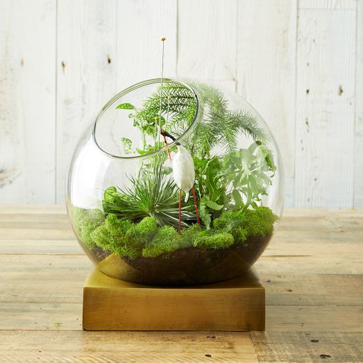 a bubble jar with moss, greenery, a white bloom on a wooden stand is a stylish idea for a spring space