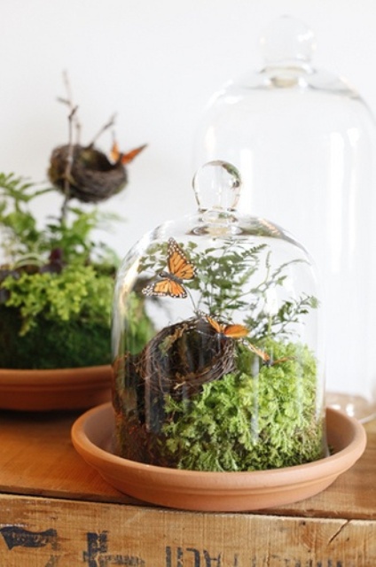 A cloche with greenery, a faux nest and butterflies is a pretty spring inspired decoration to rock