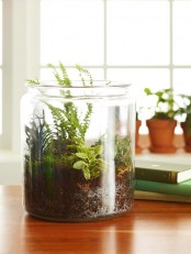 a jar with moss and various types of greenery is a simple and casual idea of a spring terrarium to rock
