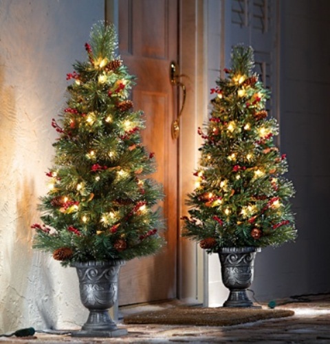 Leave two fully decorated Christmas trees framing your front door for a classic display you can appreciate from outside.