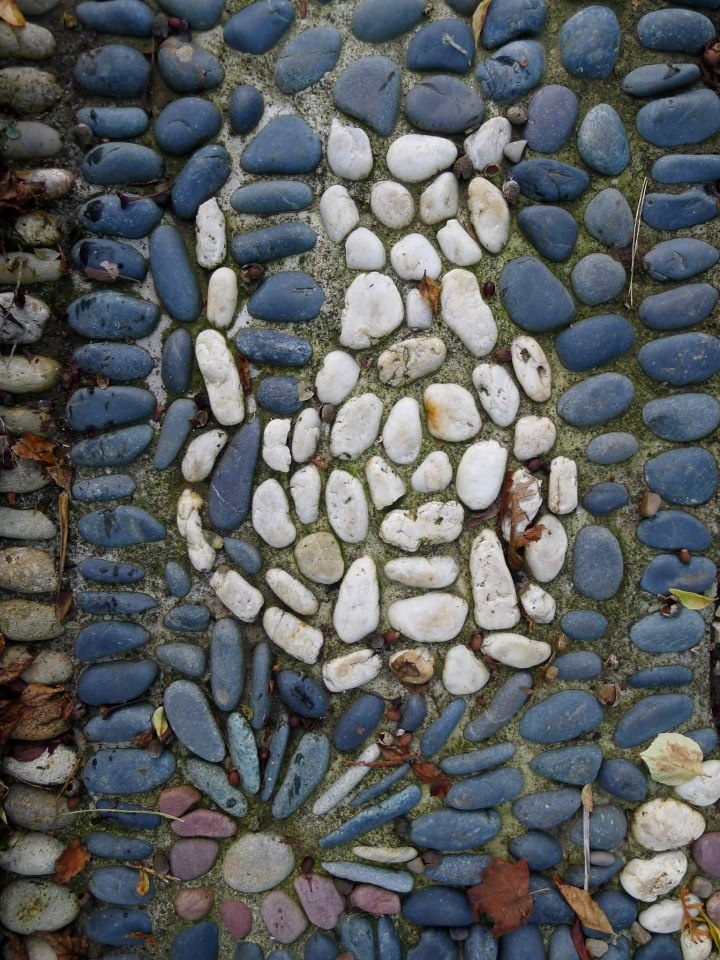 A blue pebble pathway with a white cat is a fun idea to add a personalizing touch to your garden