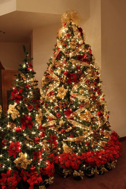 a duo of Christmas trees decorated in gold and red, with lots of lights, ornaments and lots of poinsettia