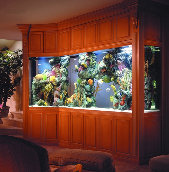 A large aquarium clad in rich stained wood is a great alternative to a TV in your living room