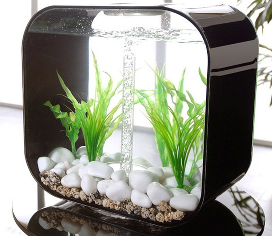 An ultra modern sleek black aquarium with pebbles, rocks and greenery and no fish is a cool decor feature
