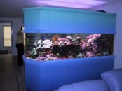 a large and long aquarium clad with panels works as a space divider between the living and dining room