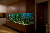 a large aquarium clad with stained wood is a stylish idea for your space, it can be a beautiful and statement decor feature