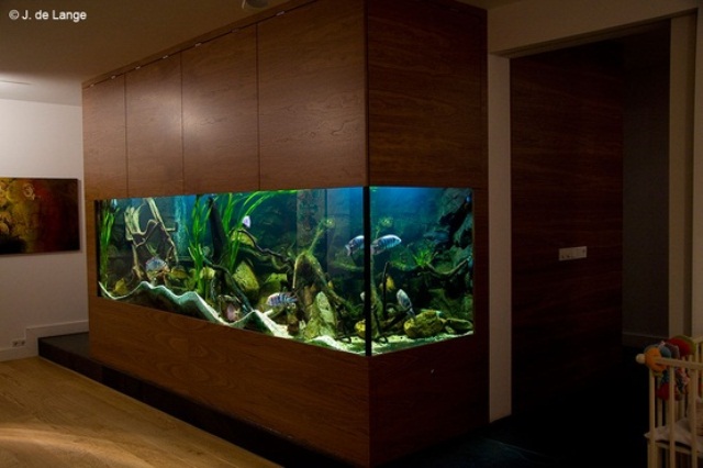 A large aquarium clad with stained wood is a stylish idea for your space, it can be a beautiful and statement decor feature