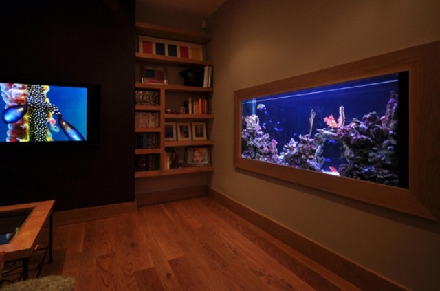 A framed built in aquarium is a stylish decor feature that will bring relaxation to your space