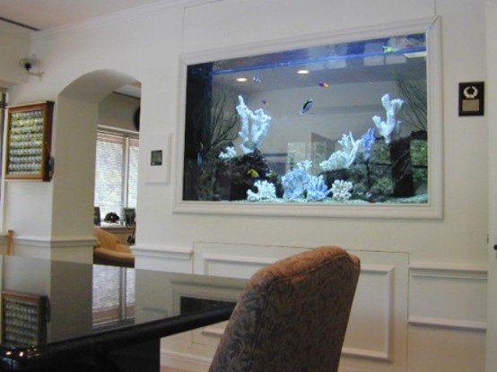 an aquarium built into the wall in the dining room is a beautiful and natural decor feature to try