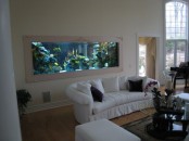 a built-in framed aquarium makes this space bolder, cooler and more relaxed