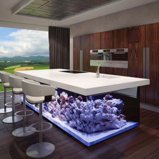 A statement kitchen decor feature   a kitchen island with a built in aquarium with no fish is a very bold and amazing option
