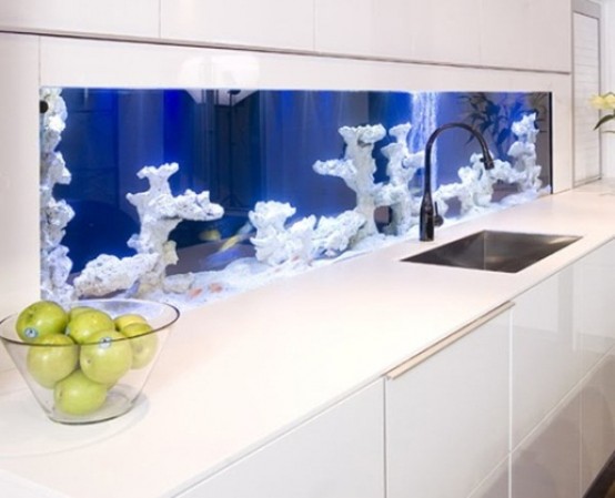 skip a usual backsplash in the kitchen and make a gorgeous built-in aquarium with no fish to make your space look unique
