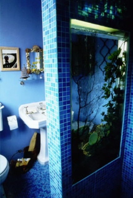 A built in aquarium is a cool space divider for the shower space is a lovely idea to feel like in the sea