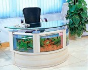 a desk with an aquarium is a relaxing idea for those who love the sea and want something natural around while working