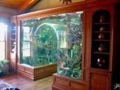 an arched doorway done with a large aquarium and clad with wood is a stylish and cool idea with a refined feel