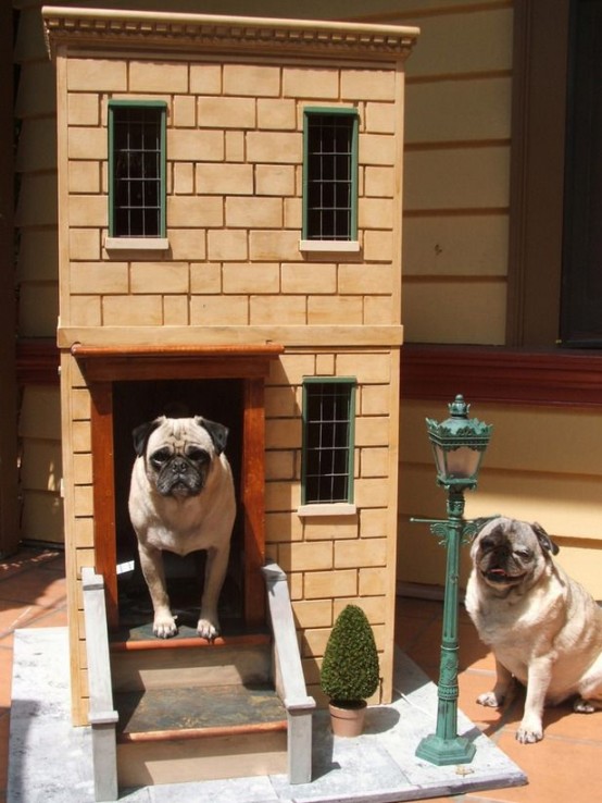 31 Awesome Creative Pet Homes For Any Type Of Interior