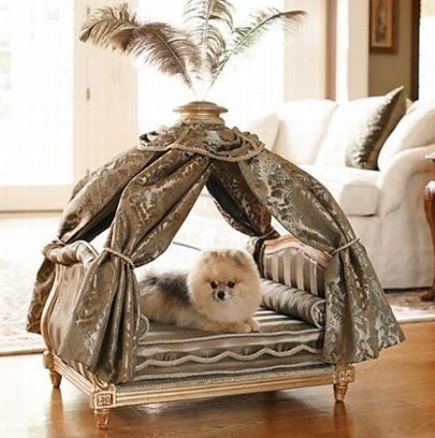 a refined and whimsy dog ed in gold, with silver and taupe upholstery, a canopy and even feathers on top