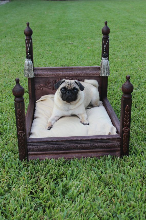 A refined dark stained dog bed with pillars and tassels, with a neutral cushion is great for both indoors and outdoors