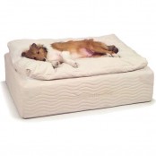a soft bed with an additional cushion is just a soft heaven for any pet, whether it’s a dog or a cat or someone else