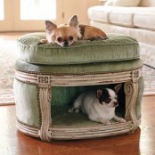 a refined twi-tiered dog bed with green velvet and gold touches is a very pretty idea, and your pets can choose where to stay
