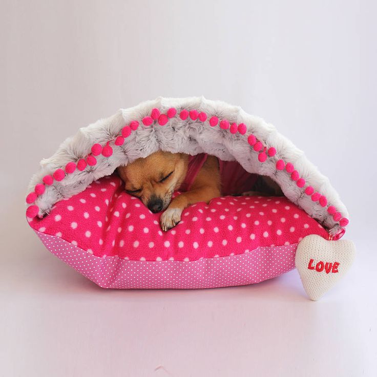 A super cozy envelope style cushion dog bed will suit a cat, too, all pets love to feel hidden from time to time
