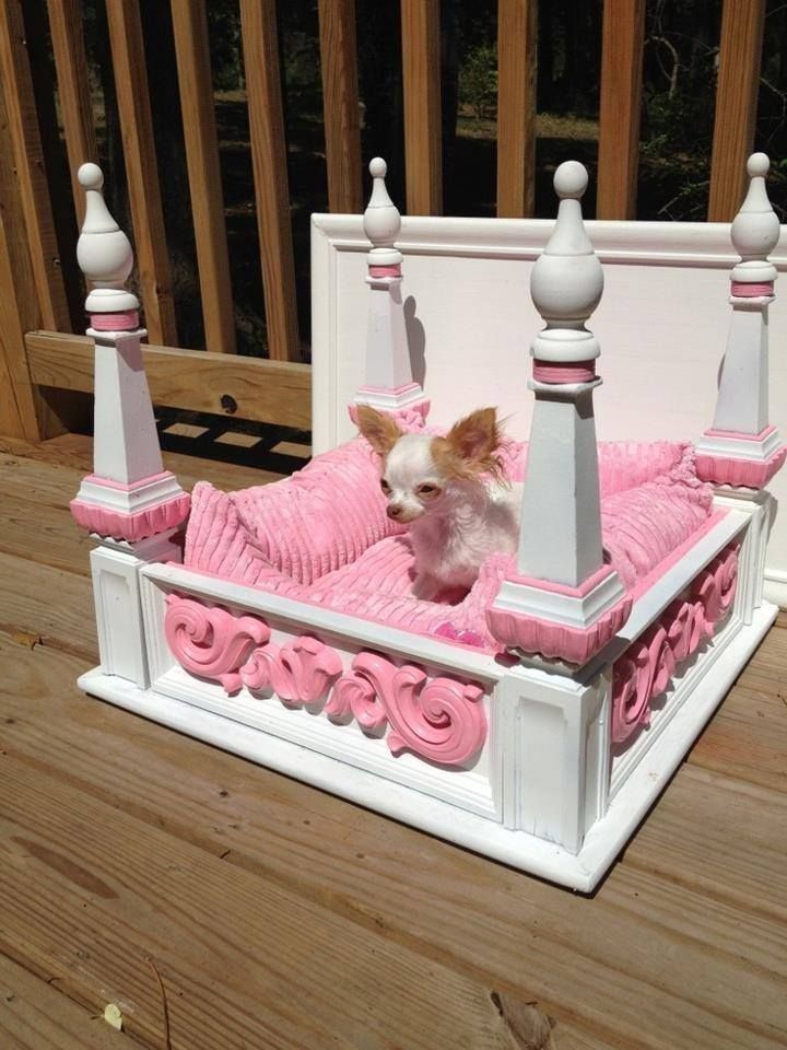A glam dog bed with pillars, with a pink cushion and pink detailing is a very stylish and chic idea for a glam home