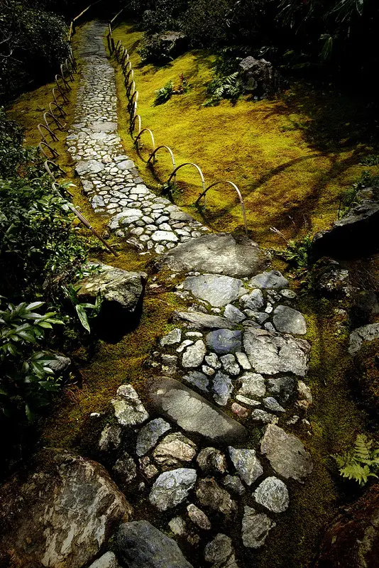 An old and rough stone garden path matches the moss and greenery around and looks very vintage like