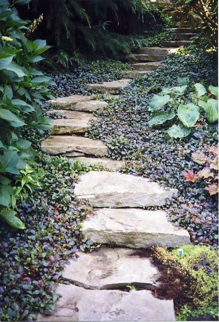 a rough stone path with catchy dark foliage around that accent it with its dark shade