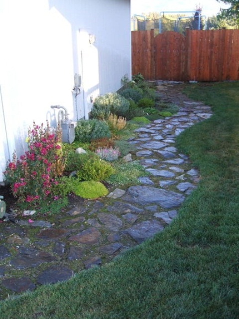 a garden stone path with moss in between and bright blooms growing next to it