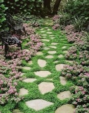 a catchy garden stone path with various shapes and greenery growing in between, it enlivens the look