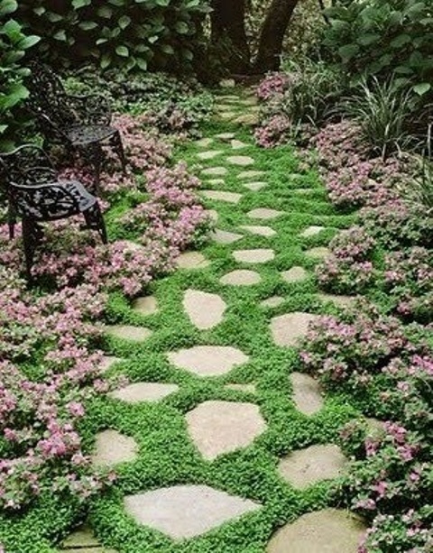 a catchy garden stone path with various shapes and greenery growing in between, it enlivens the look