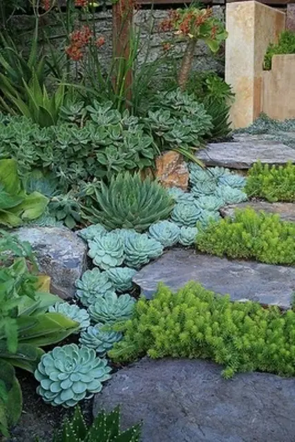 a large stone ladder with succulents on the border and greenery growing in between the steps