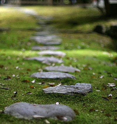 a rough dark stone garden path with moss around looks calming, relaxing and cool