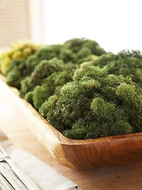 A simple rustic centerpiece with a touch of freshness   a dough bowl filled with moss