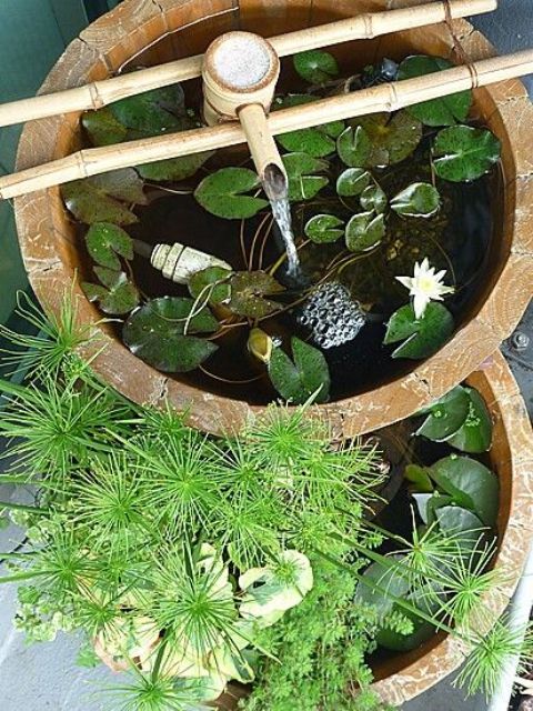 A catchy pond of two porcelain bowls, water lilies and greenery, with a bamboo fountain is a lovely idea for a Japanese inspired backyard