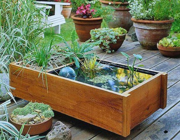 A wooden box mini pond with water plants, a clear ball and a usual planter in the second part