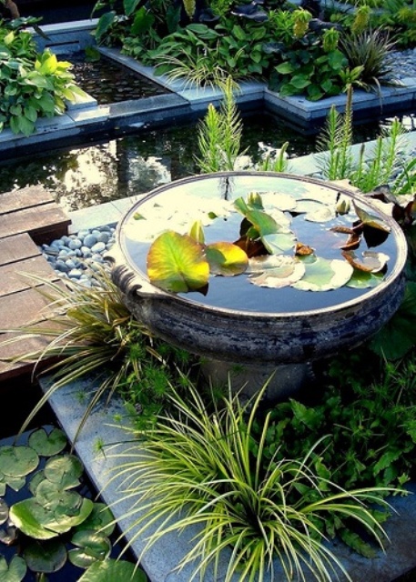 a mini raised stone bowl with water lilies and plants around is a beautiful and natural idea for outdoors