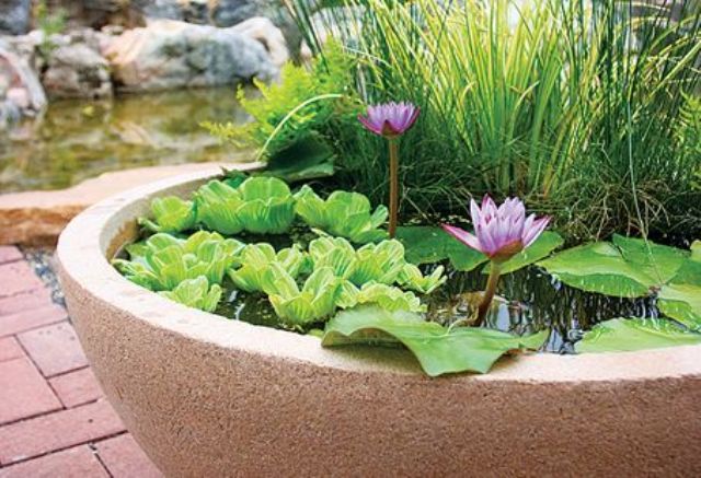 A light colored stone plaster as a pond, with greenery, grasses and bright pink blooms for beautiful outdoor decor